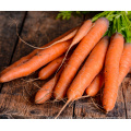 2021 New Harvest Fresh Natural Carrots Export Chinese Fresh Carrot